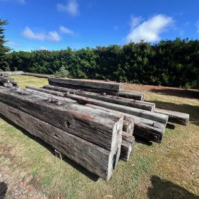 Piles of large aged hardwood logs rest on the grass, with trees and a clear blue sky in the background, capturing nature in its most natural state.