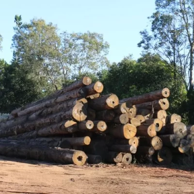 Sustainably Sourced Hardwood