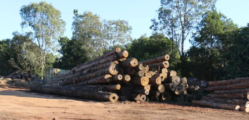 Sustainably Sourced Hardwood